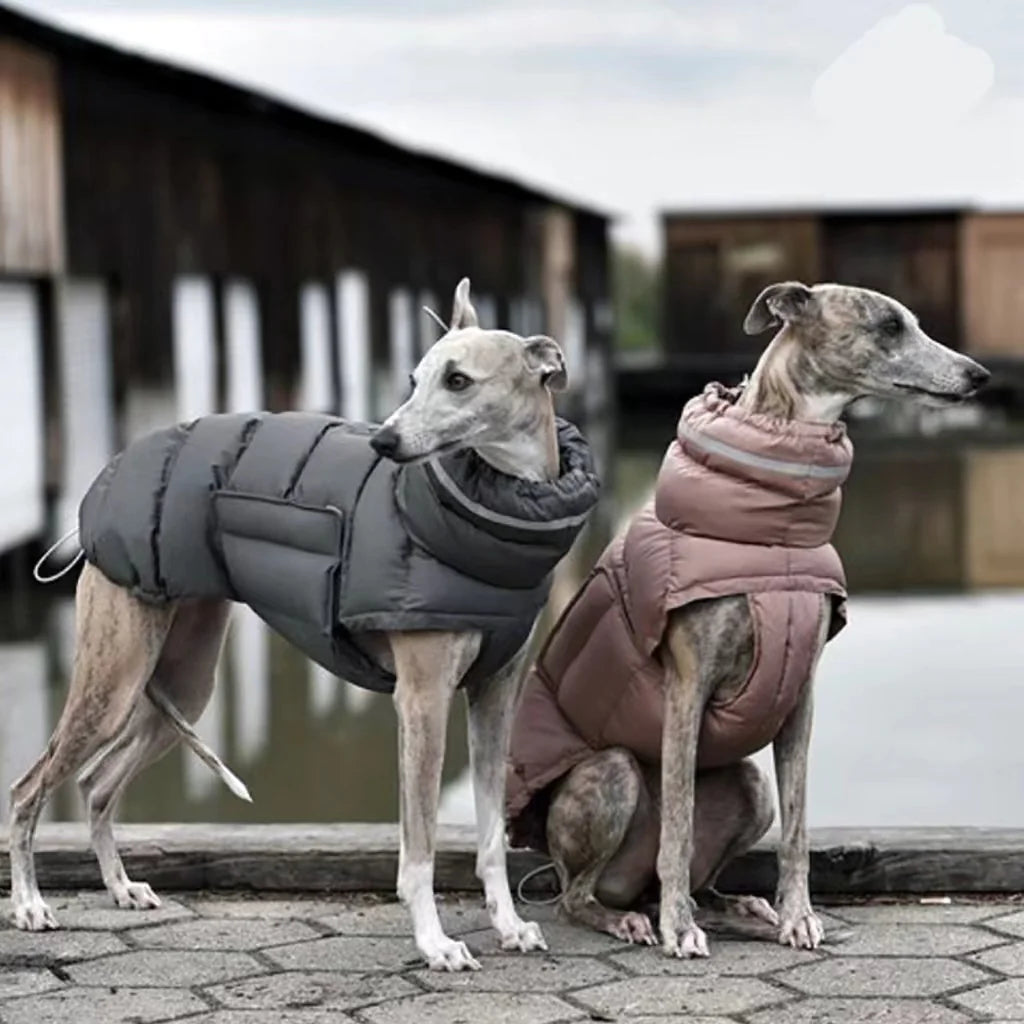 Thermal Dog Vest