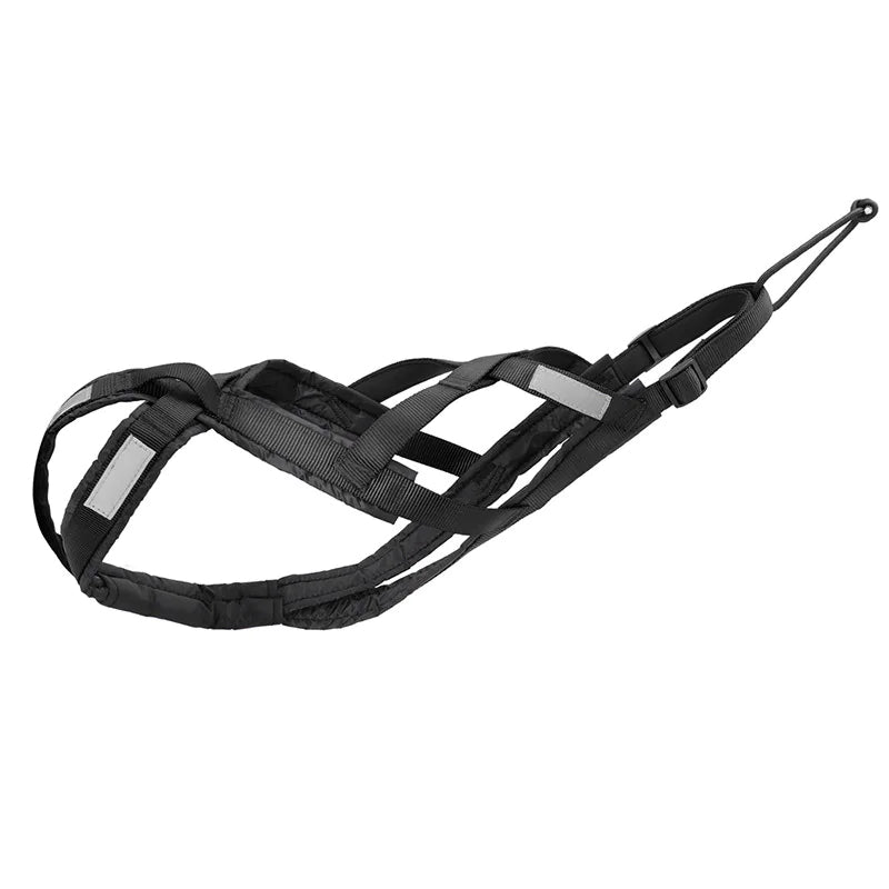 Dog Sled Harness