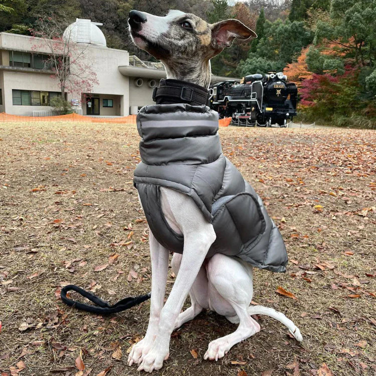 Thermal Dog Vest