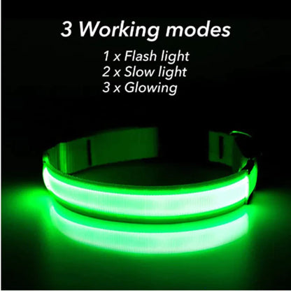 LED Adjustable Dog Collar Blinking Flashing Light Up Glow Pets Safety Waterproof