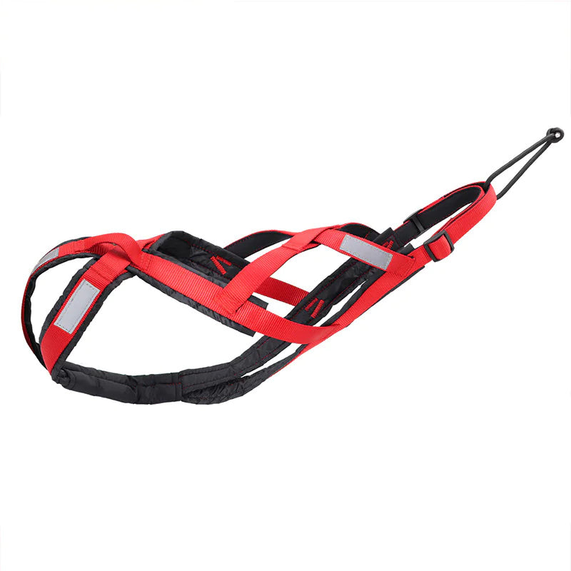 Dog Sled Harness